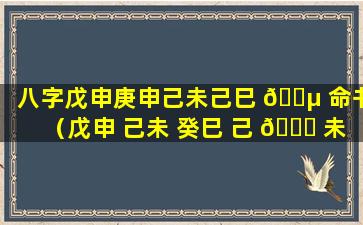 八字戊申庚申己未己巳 🌵 命书（戊申 己未 癸巳 己 🐒 未）